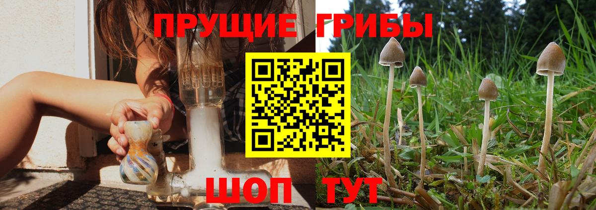 Псилоцибиновые грибы Magic Shrooms  купить  цена  Скопин  Вход с VPN 